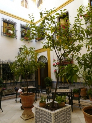 Fusion in Córdoba_13